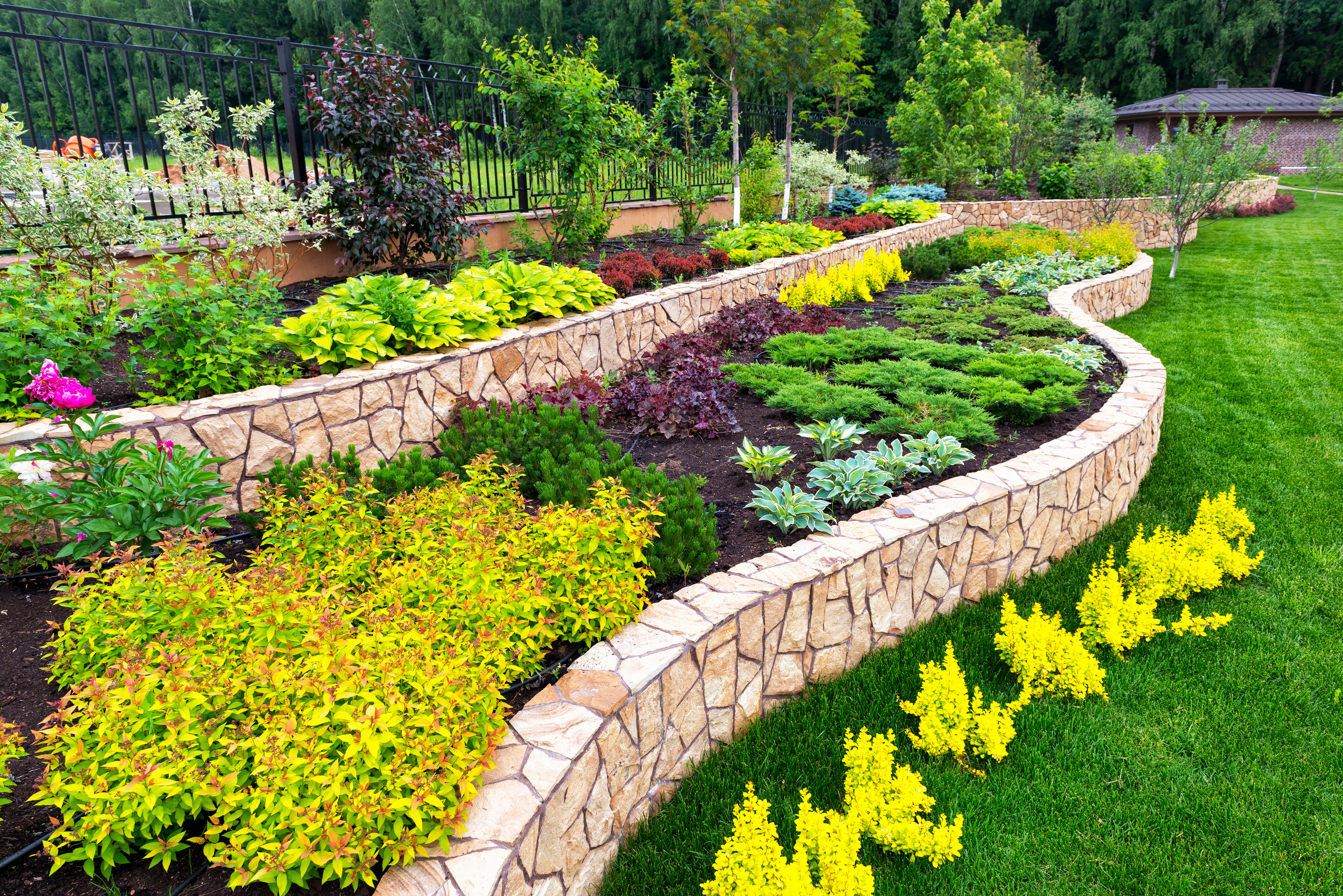 13 Biggest Landscaping Mistakes