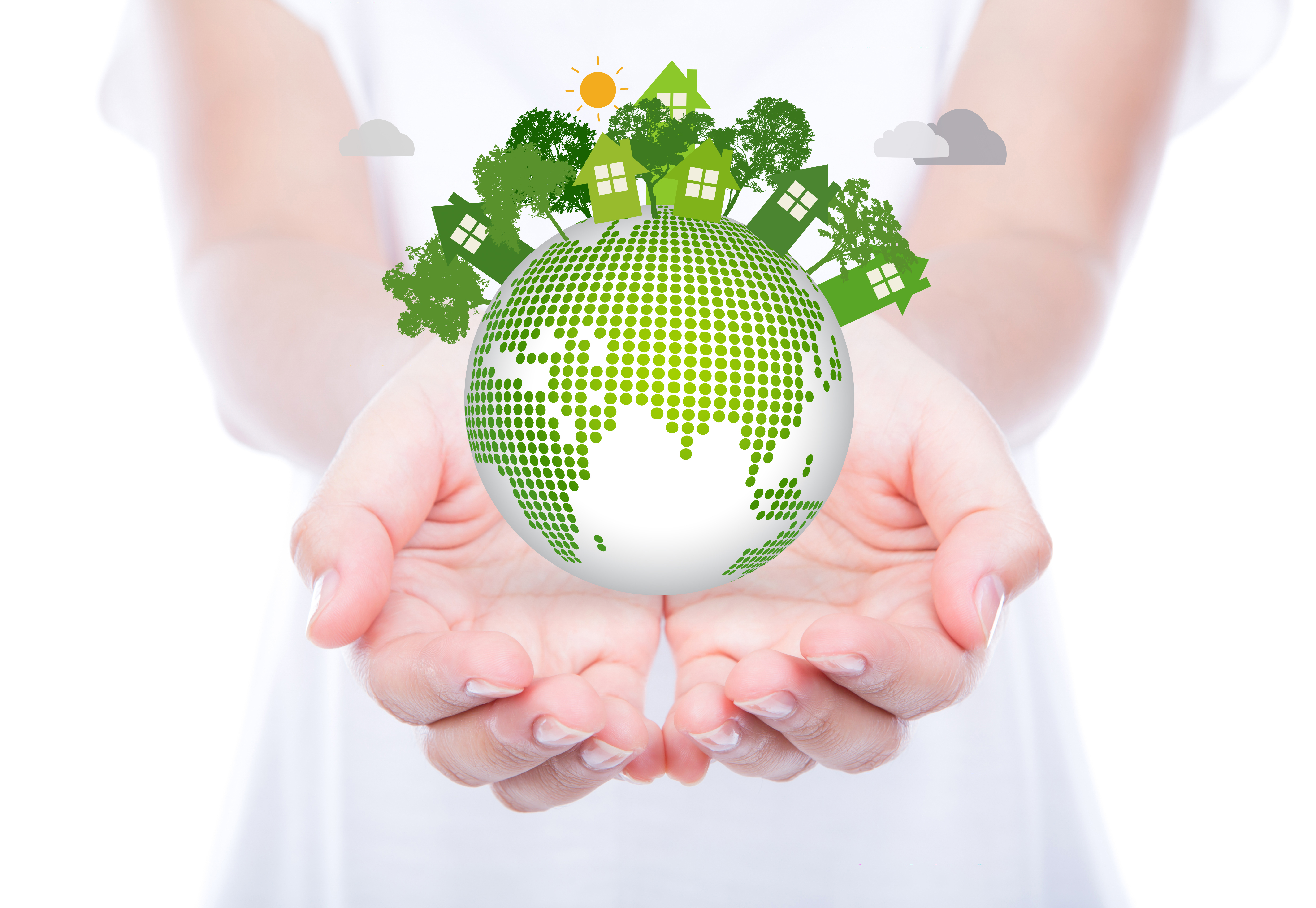Eco-Friendly Lawn Care