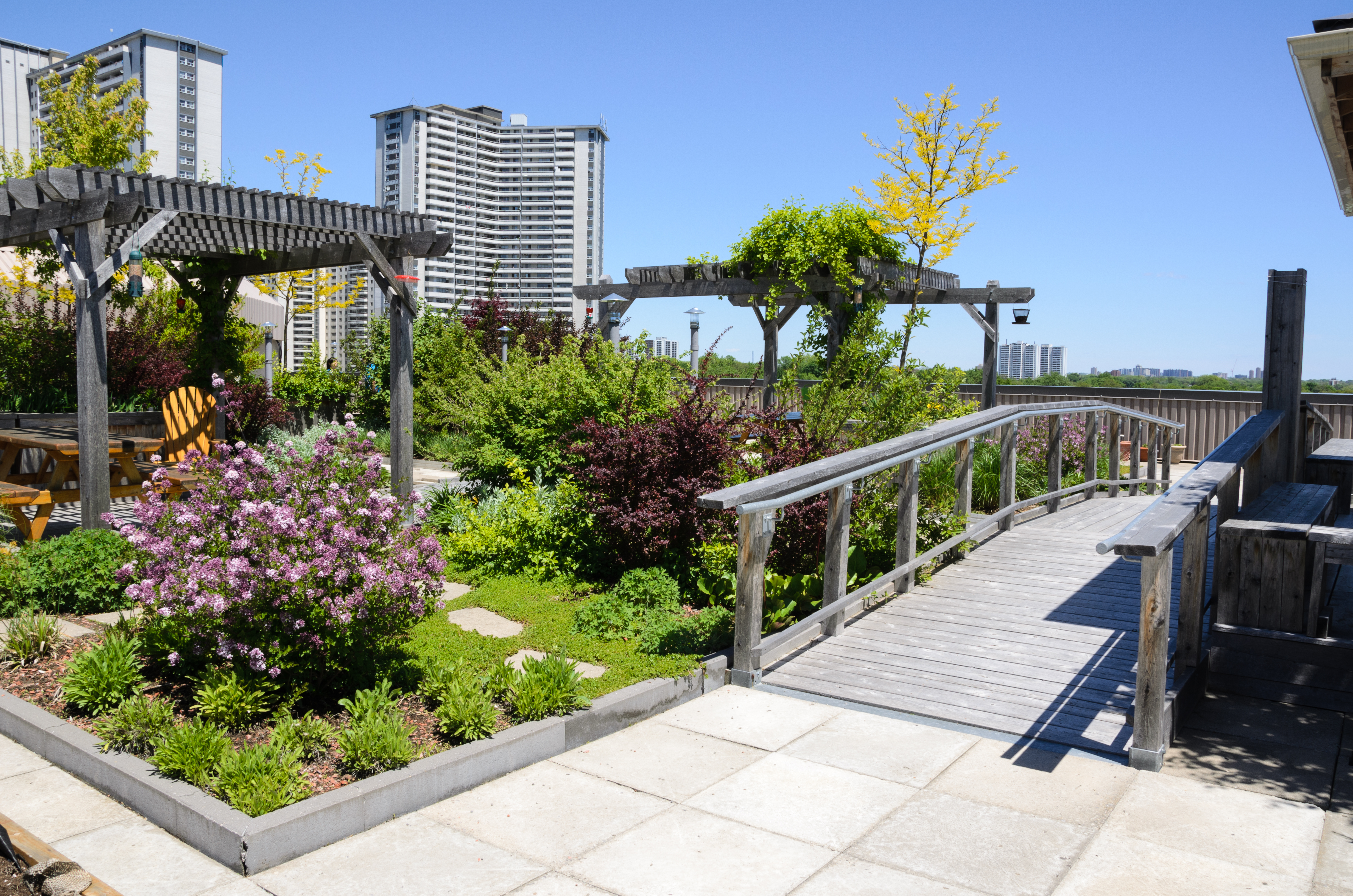 Low Energy House Design Principles: Green Roofs
