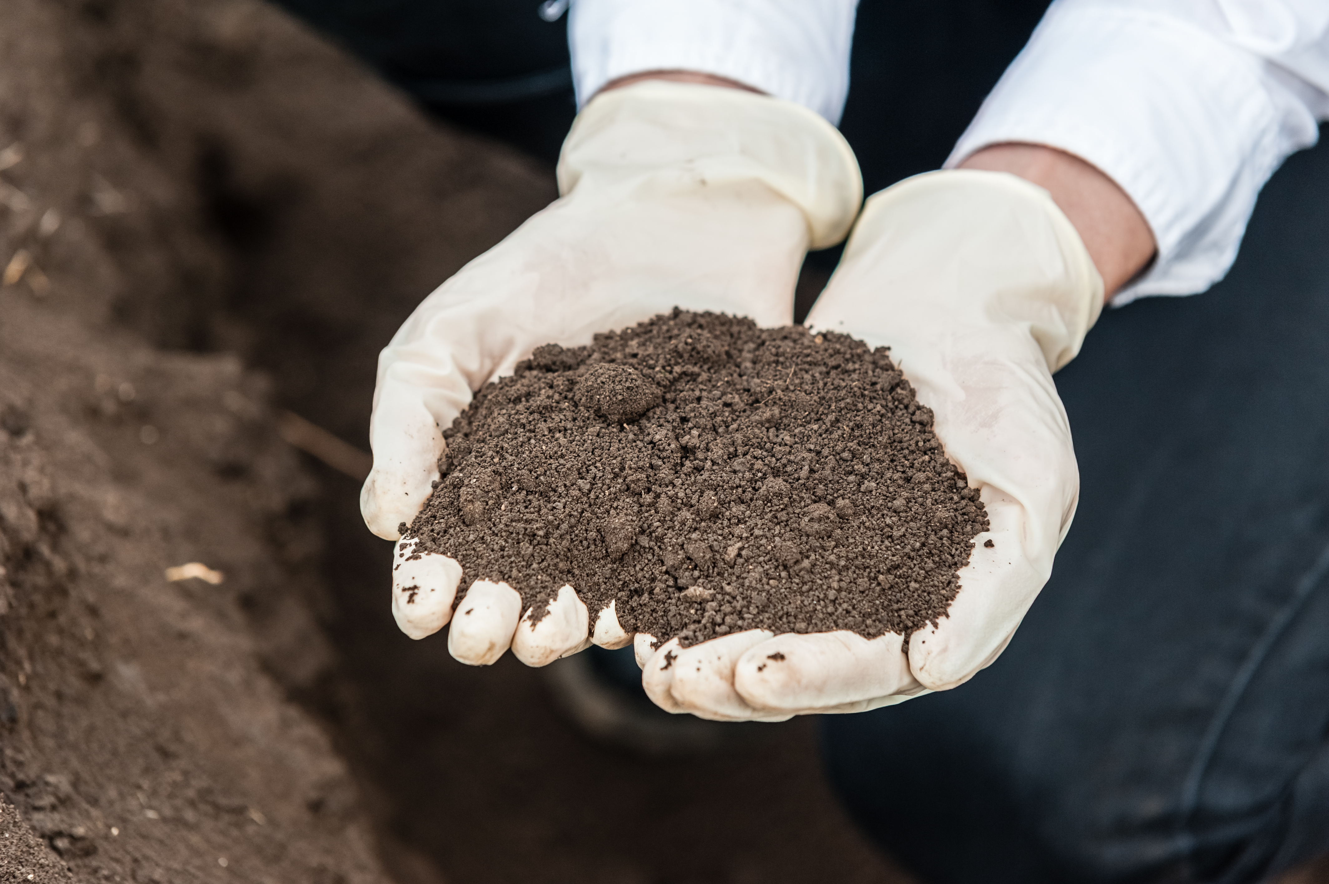 What Is Soil Testing?